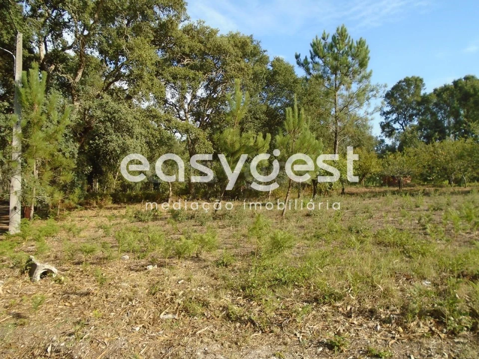 Terreno para Venda em Pataias e Martingança Foto 6