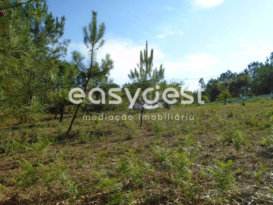 Terreno para Venda em Pataias e Martingança Foto 9