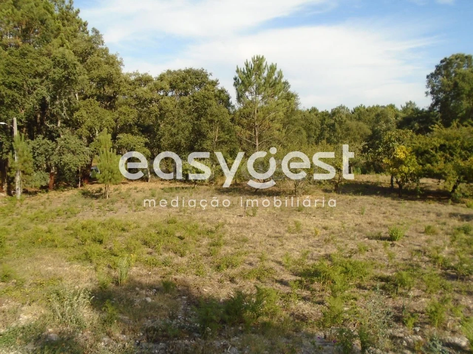 Terreno para Venda em Pataias e Martingança Foto 15