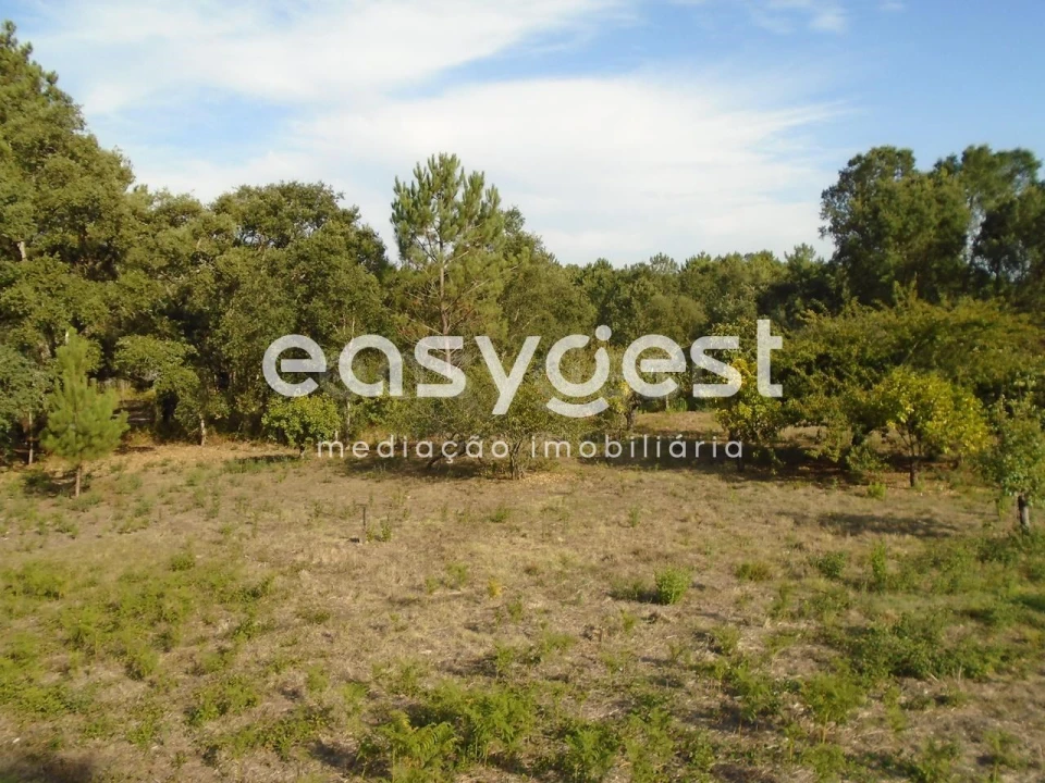 Terreno para Venda em Pataias e Martingança Foto 16
