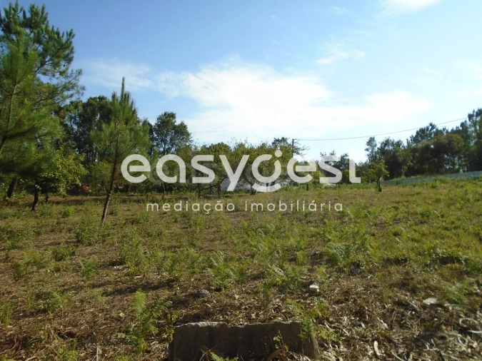 Terreno para Venda em Pataias e Martingança Foto 10