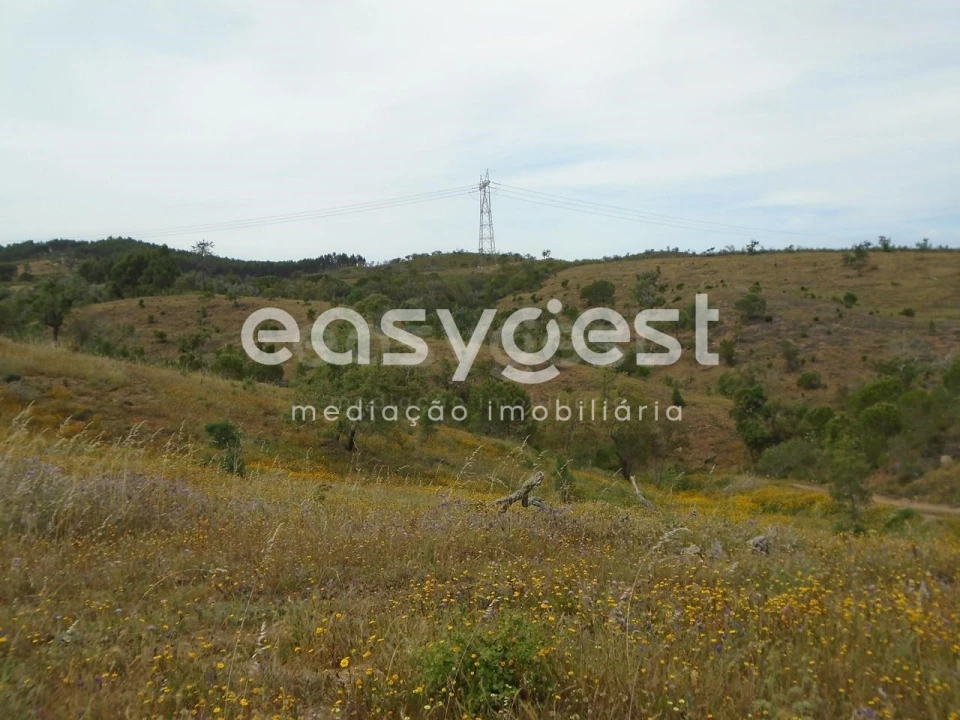 Terreno para Venda em Santiago do Cacém, Santa Cruz e São Bartolomeu da Serra Foto 13