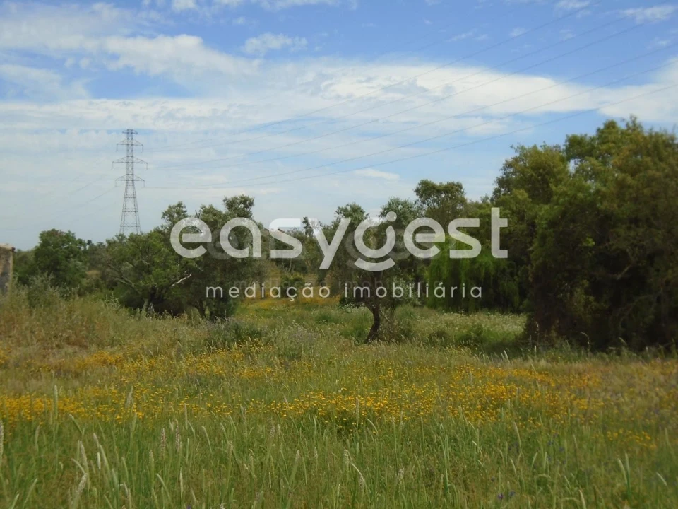 Terreno para Venda em Santiago do Cacém, Santa Cruz e São Bartolomeu da Serra Foto 29