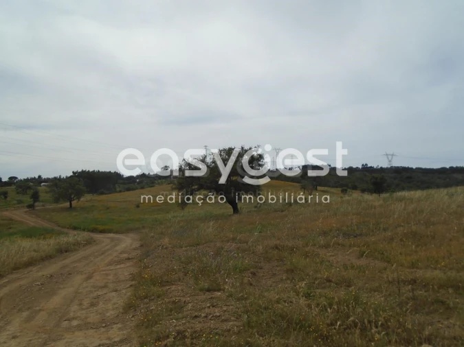 Terreno para Venda em Santiago do Cacém, Santa Cruz e São Bartolomeu da Serra Foto 25