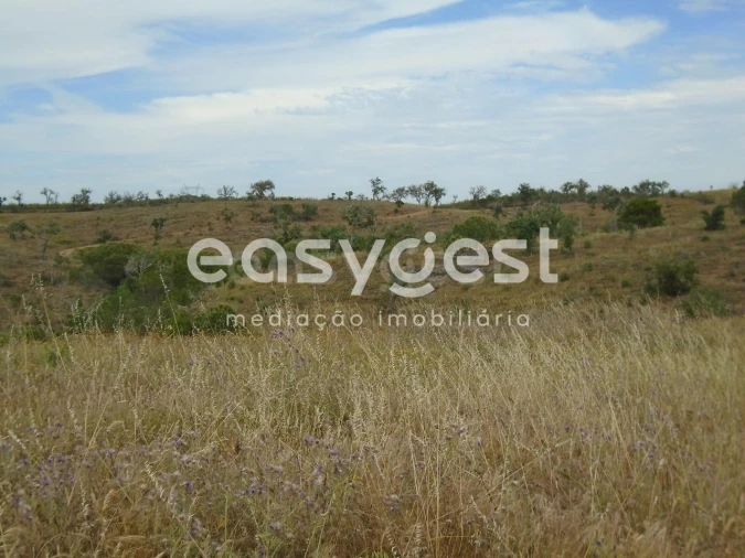Terreno para Venda em Santiago do Cacém, Santa Cruz e São Bartolomeu da Serra Foto 28