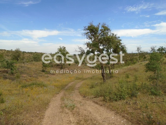 Terreno para Venda em Santiago do Cacém, Santa Cruz e São Bartolomeu da Serra Foto 44