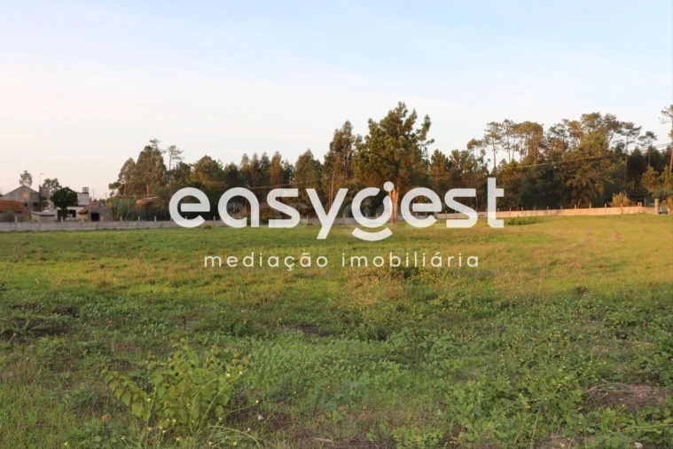 Terreno para Venda em Louriçal Foto 1