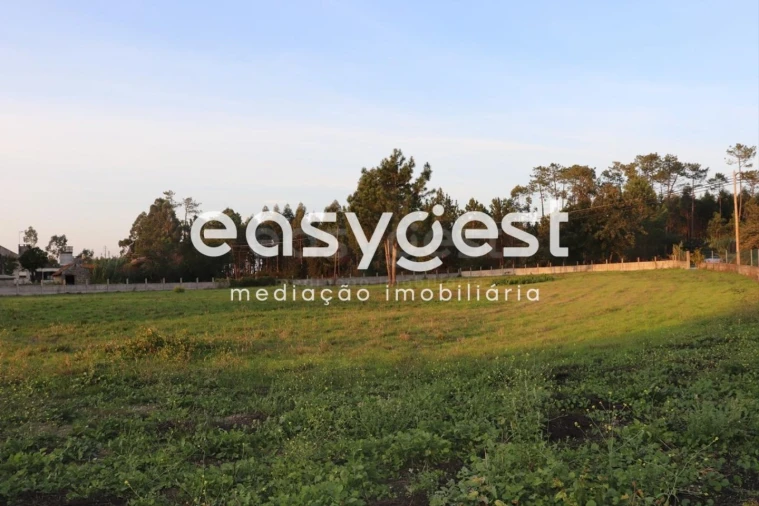 Terreno para Venda em Louriçal Foto 3