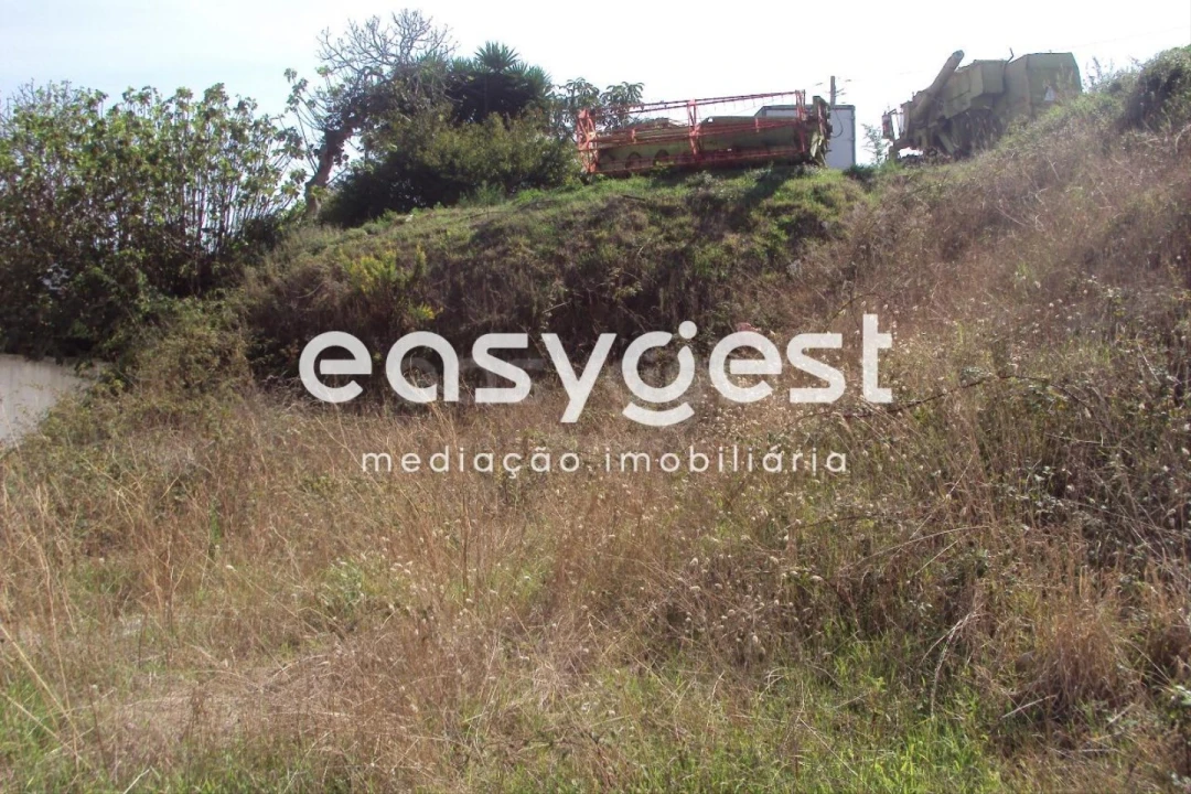 Terreno para Venda em Famalicão Foto 4