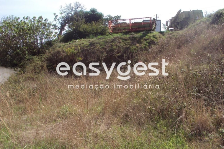 Terreno para Venda em Famalicão Foto 4