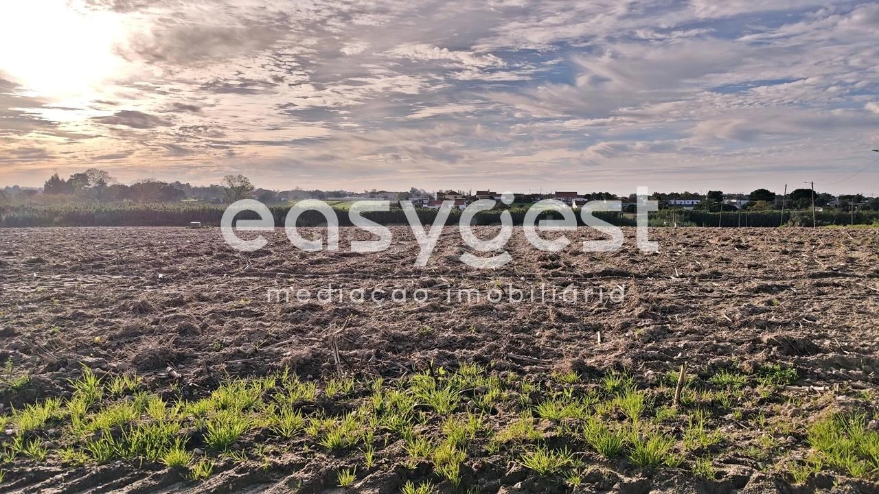 Terreno Agricola ou Rústico para Venda em Moita Foto 1