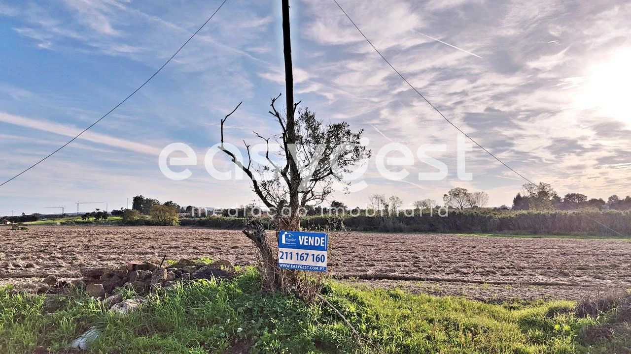 Terreno Agricola ou Rústico para Venda em Moita Foto 2
