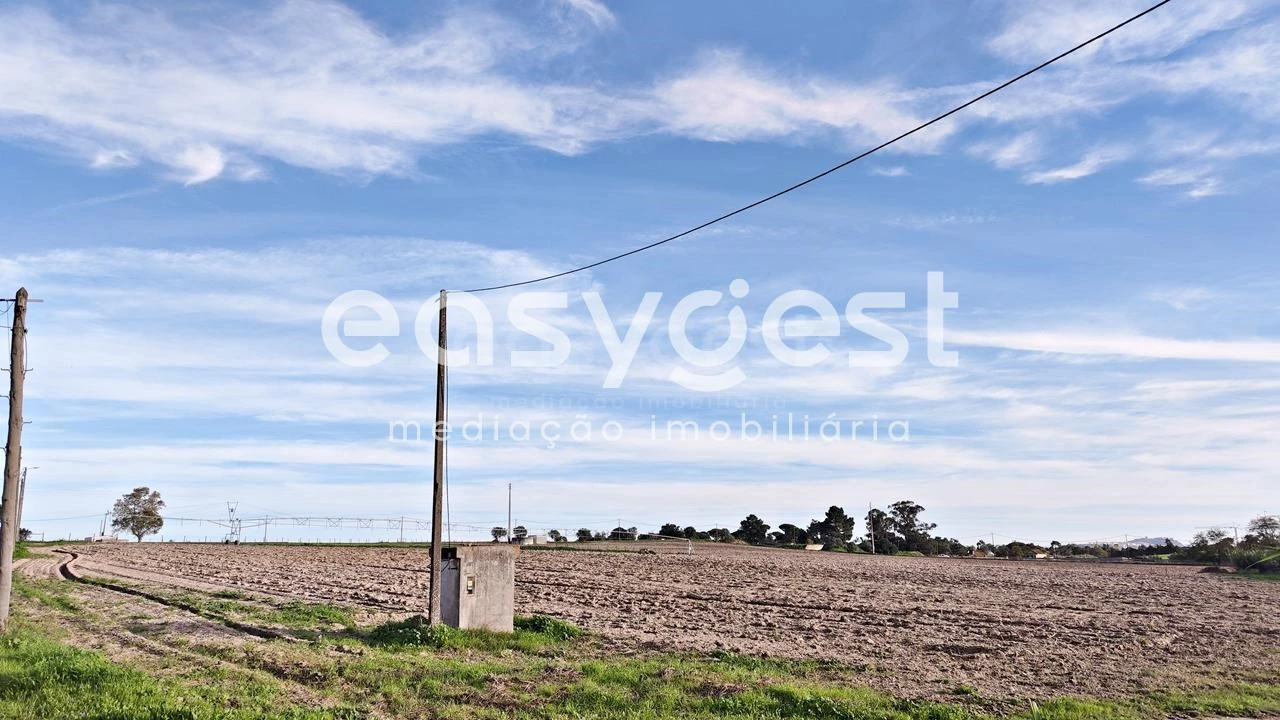 Terreno Agricola ou Rústico para Venda em Moita Foto 3