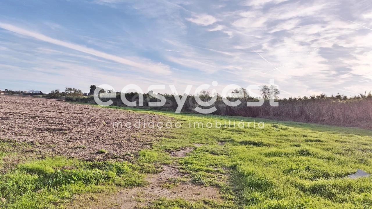 Terreno Agricola ou Rústico para Venda em Moita Foto 4