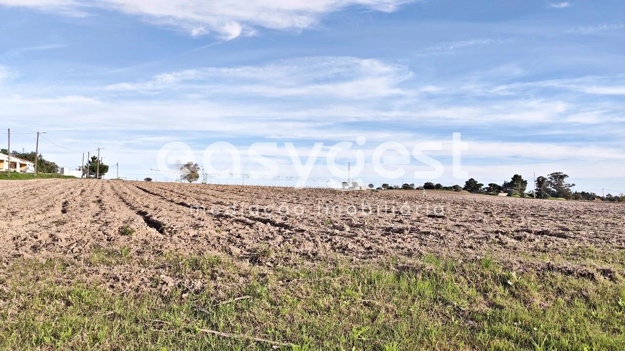 Terreno Agricola ou Rústico para Venda em Moita Foto 5