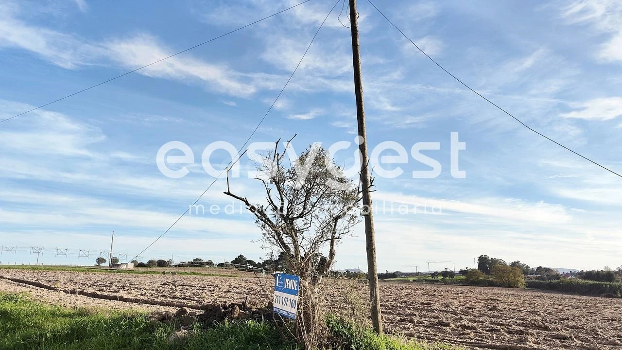 Terreno Agricola ou Rústico para Venda em Moita Foto 7
