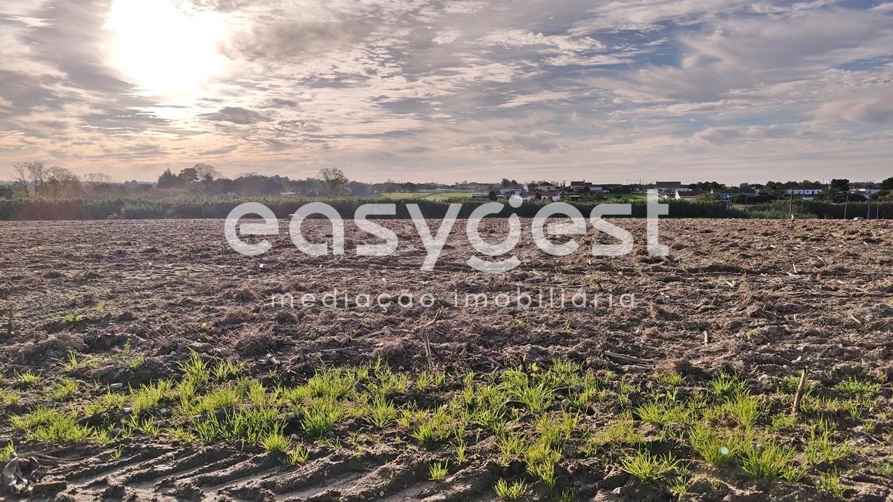 Terreno Agricola ou Rústico para Venda em Moita Foto 9