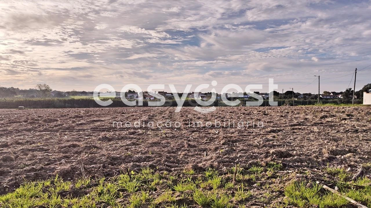 Terreno Agricola ou Rústico para Venda em Moita Foto 10