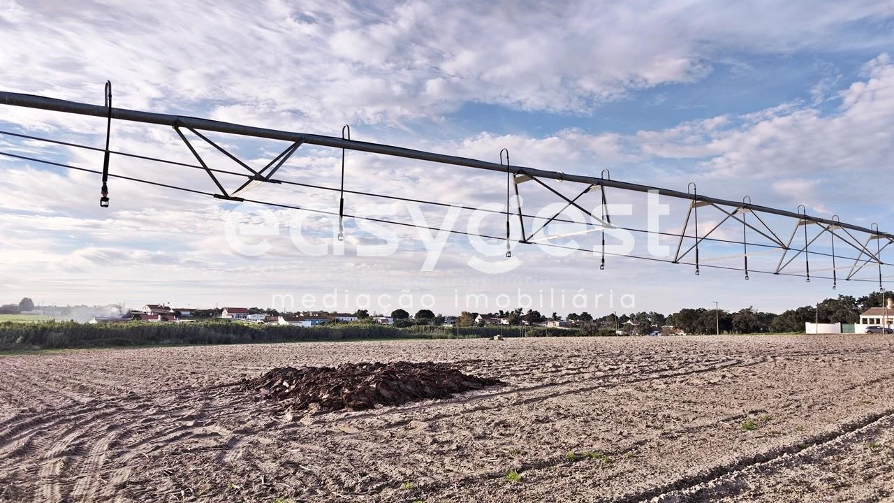 Terreno Agricola ou Rústico para Venda em Moita Foto 11