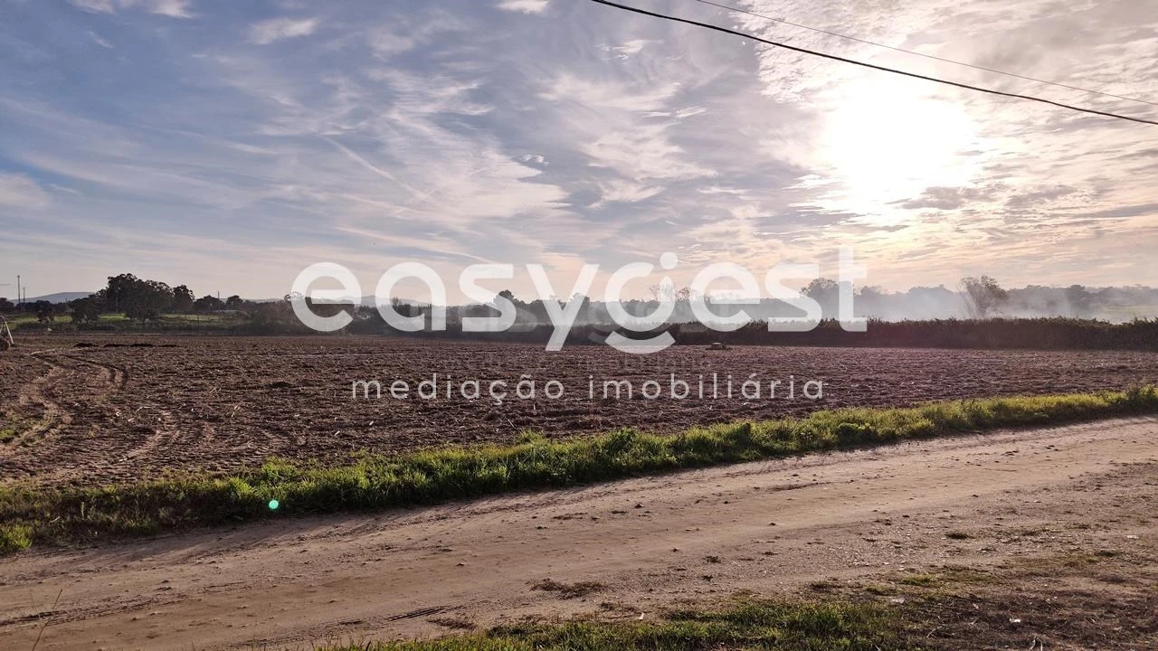 Terreno Agricola ou Rústico para Venda em Moita Foto 15