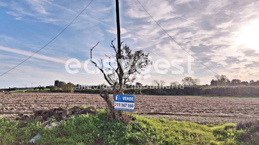 Terreno Agricola ou Rústico para Venda em Moita Foto 2