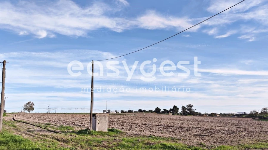 Terreno Agricola ou Rústico para Venda em Moita Foto 3