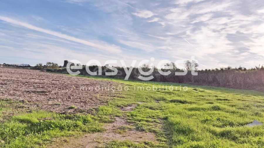 Terreno Agricola ou Rústico para Venda em Moita Foto 4