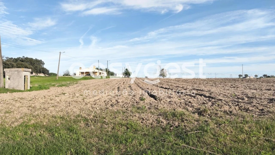 Terreno Agricola ou Rústico para Venda em Moita Foto 6