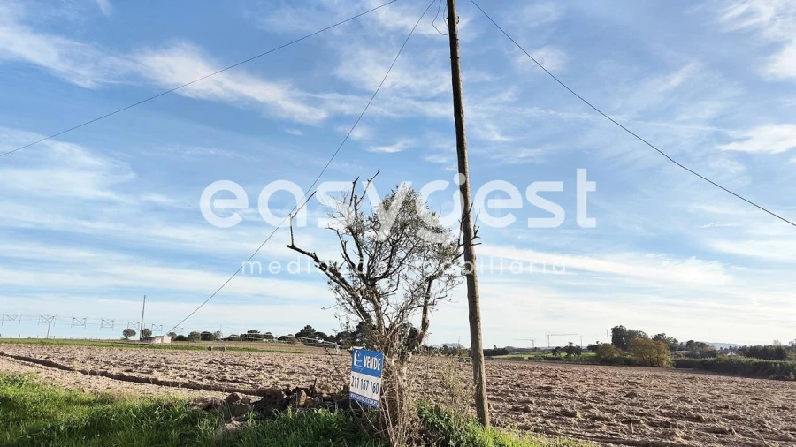 Terreno Agricola ou Rústico para Venda em Moita Foto 7