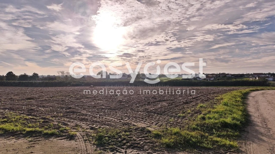 Terreno Agricola ou Rústico para Venda em Moita Foto 8