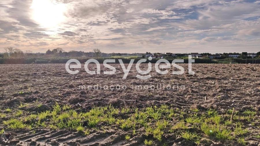 Terreno Agricola ou Rústico para Venda em Moita Foto 9