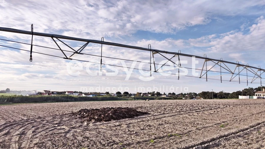 Terreno Agricola ou Rústico para Venda em Moita Foto 11