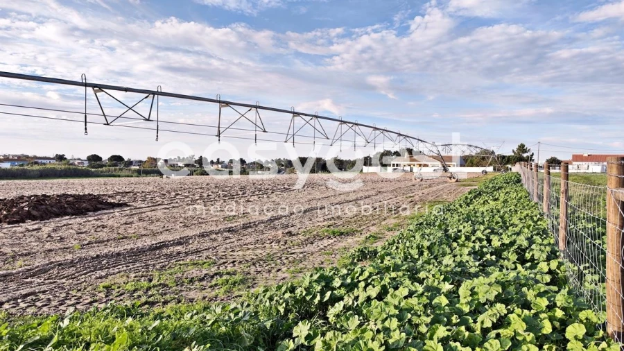 Terreno Agricola ou Rústico para Venda em Moita Foto 12
