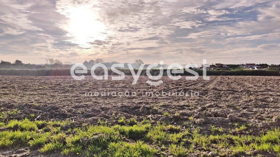 Terreno Agricola ou Rústico para Venda em Moita Foto 13