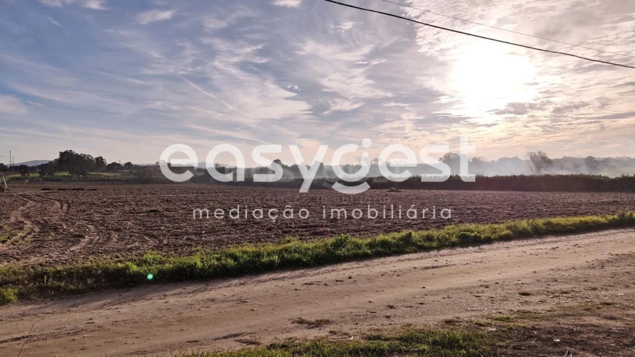 Terreno Agricola ou Rústico para Venda em Moita Foto 15