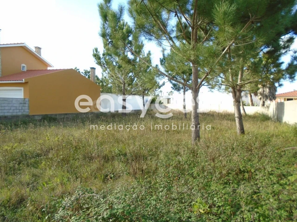 Terreno para Venda em Pataias e Martingança Foto 11