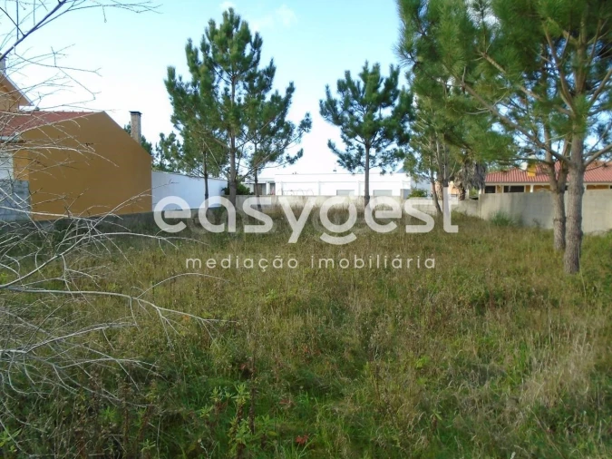 Terreno para Venda em Pataias e Martingança Foto 13