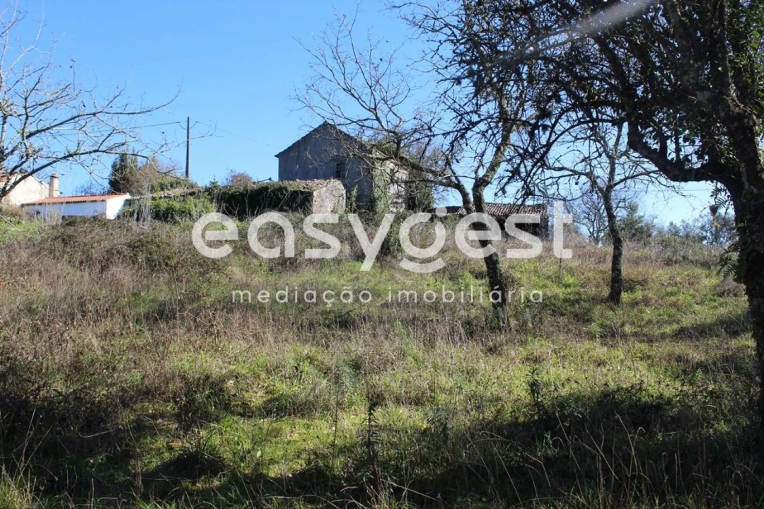 Moradia T4 para Venda em Ansião Foto 28