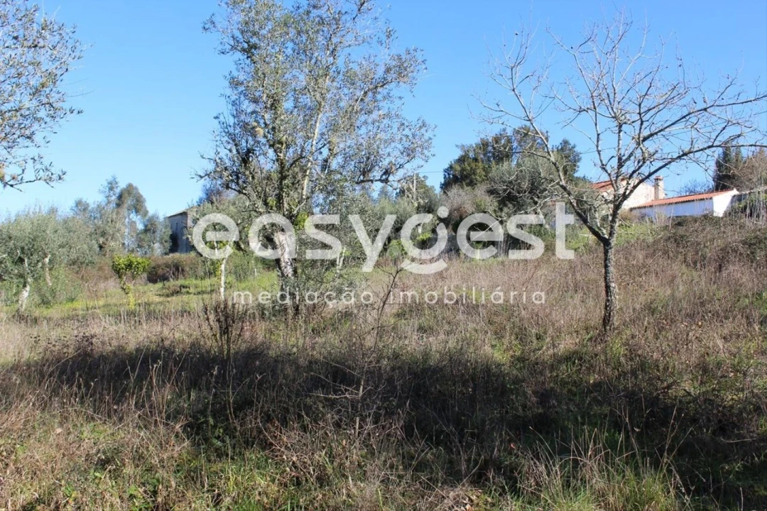 Moradia T4 para Venda em Ansião Foto 29