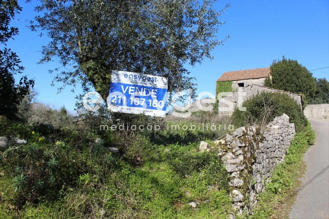 Moradia T4 para Venda em Ansião Foto 31