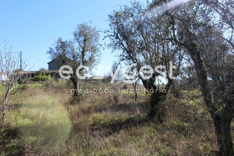 Moradia T4 para Venda em Ansião Foto 33