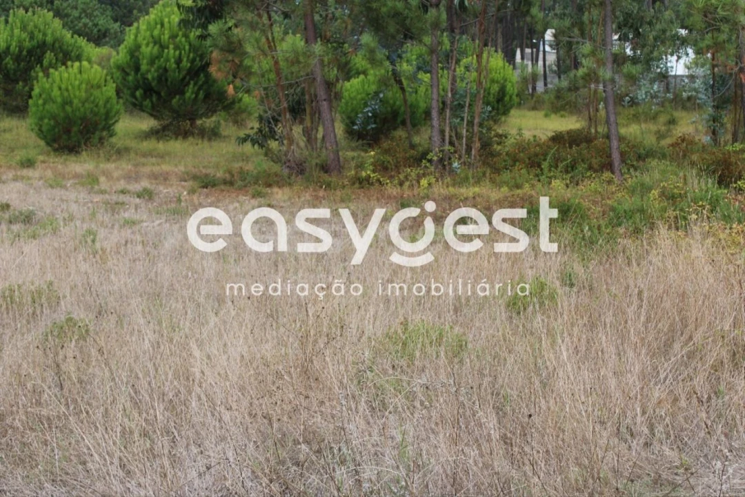 Terreno para Venda em Pataias e Martingança Foto 9