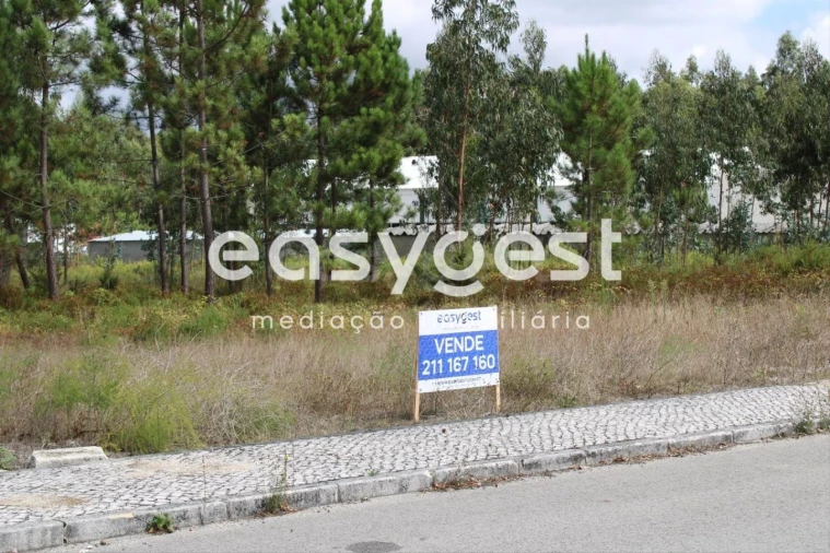 Terreno para Venda em Pataias e Martingança Foto 3