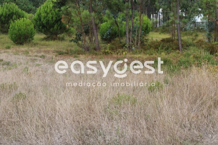 Terreno para Venda em Pataias e Martingança Foto 9