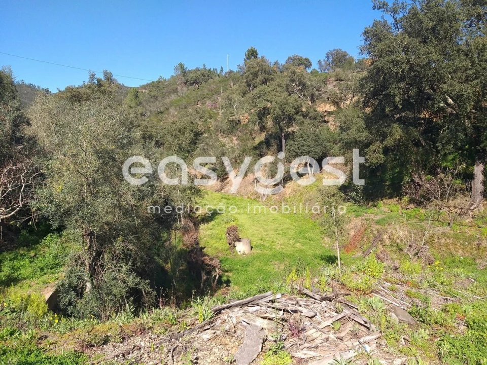 Quinta T2 para Venda em Monchique Foto 6