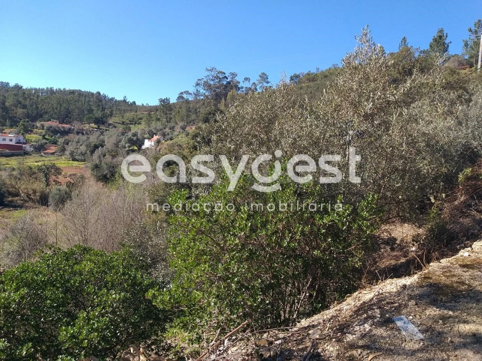 Quinta T2 para Venda em Monchique Foto 12