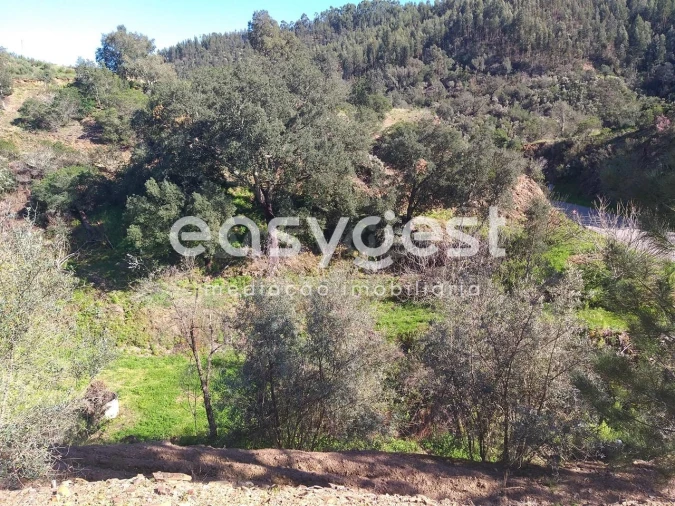 Quinta T2 para Venda em Monchique Foto 5