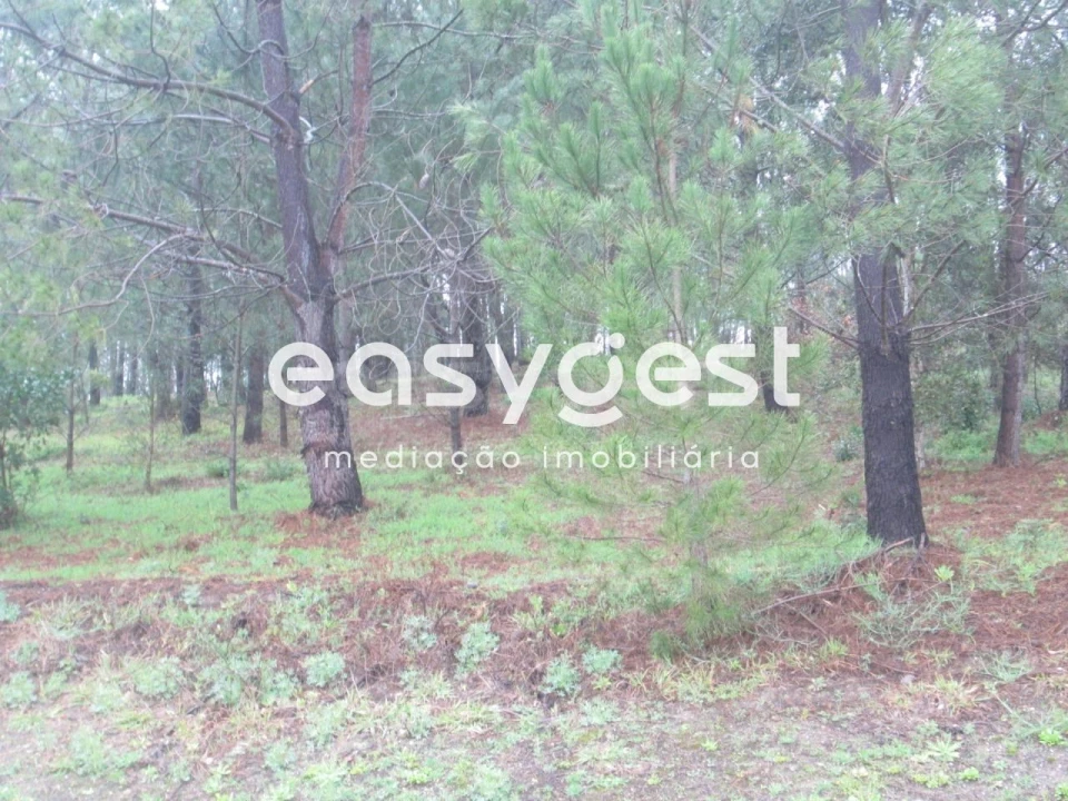 Terreno Agricola ou Rústico para Venda em Coz, Alpedriz e Montes Foto 4