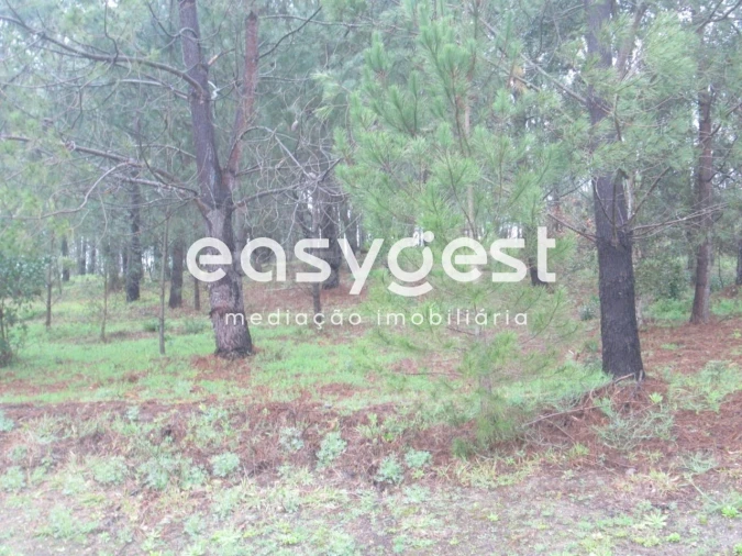 Terreno Agricola ou Rústico para Venda em Coz, Alpedriz e Montes Foto 4