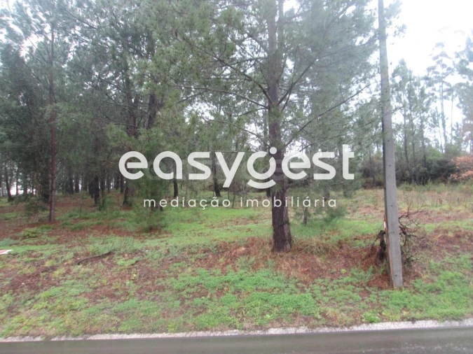 Terreno Agricola ou Rústico para Venda em Coz, Alpedriz e Montes Foto 5